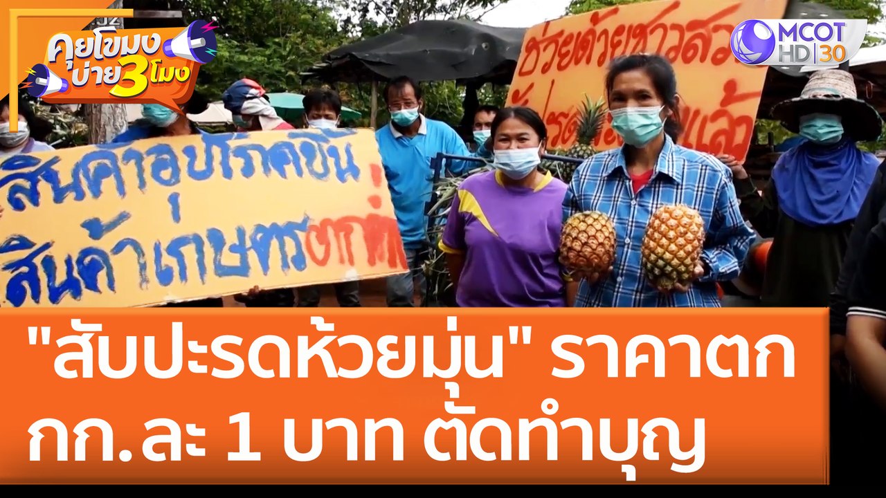 "สับปะรดห้วยมุ่น" ราคาตก กก.ละ 1 บาท ตัดทำบุญ (30 พ.ค. 65) คุยโขมงบ่าย 3 โมง