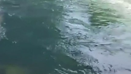 semoga anak pa ridwan kamil di temukan dengan keadaan baik