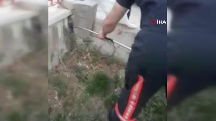 Binanın istinat duvarına gizlenen yılanı itfaiye ekipleri çıkardı