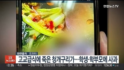 고교급식에 죽은 청개구리가…학생·학부모에 사과
