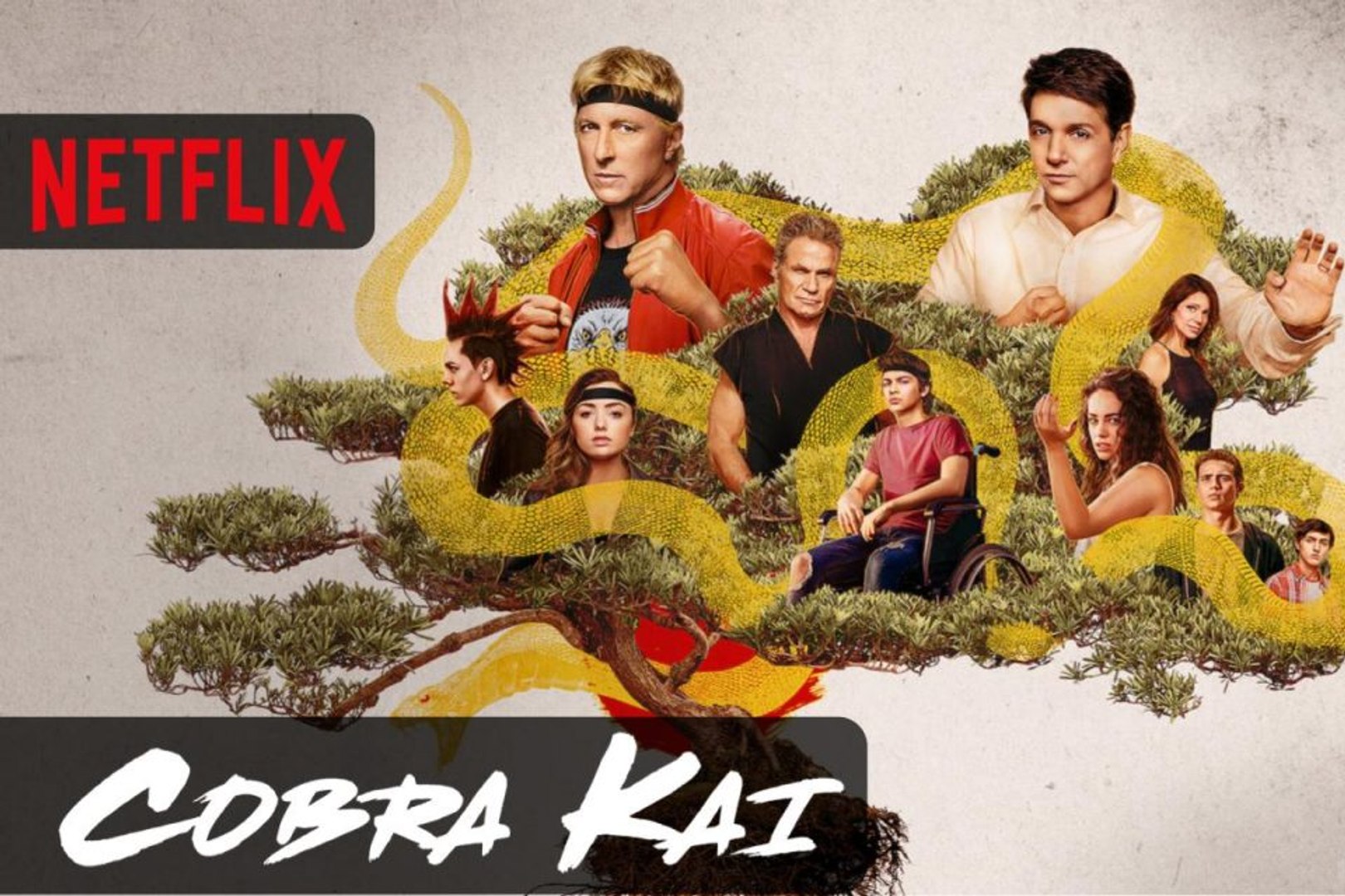 Cobra Kai Season 6, SEASON 6 PROMO TRAILER, Netflix