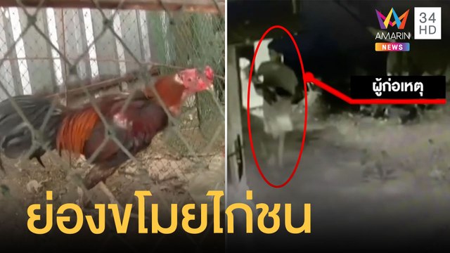 เด็กย่องขโมยไก่ชนเจ้าของอู่ซ่อมรถ เพื่อนทิ้งวิ่งกระโดดข้ามรั้วหนี | ข่าวเที่ยงอมรินทร์ | 31 พ.ค.65