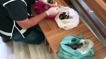 Tarihi eser kaçakçılarına yönelik büyük operasyon