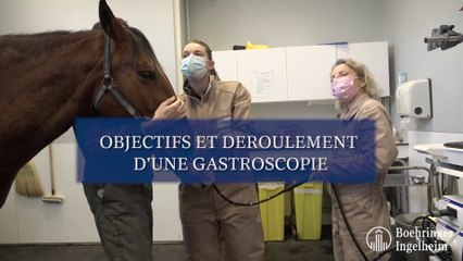 Objectifs et déroulement d'une gastroscopie