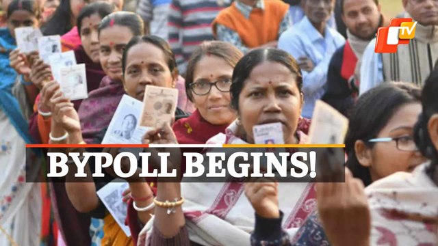 Brajarajnagar Bypoll: Voting Begins, 32% Polling Till 11 AM