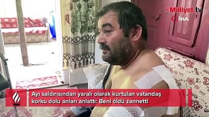 Ayı saldırısına uğrayan vatandaş: “Beni öldü zannetti”
