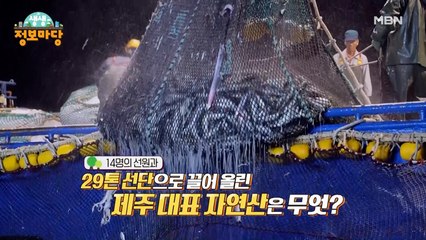 생생 정보마당 [1122회]