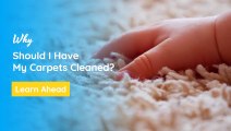 Why should I have my carpet cleaned? 6 reasons to do so