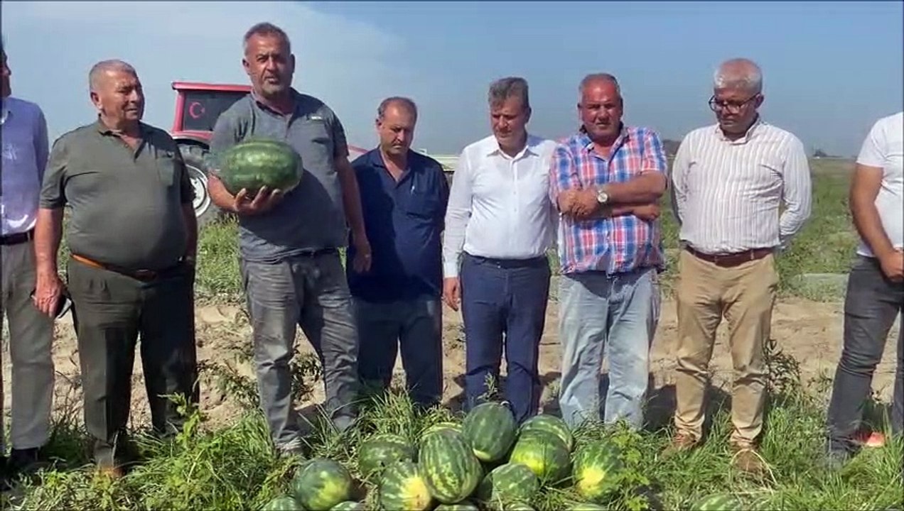 CHP'li Ayhan Barut'tan 'dilim karpuz' eleştirisi: Tarlada 2.5, markette 15 lira