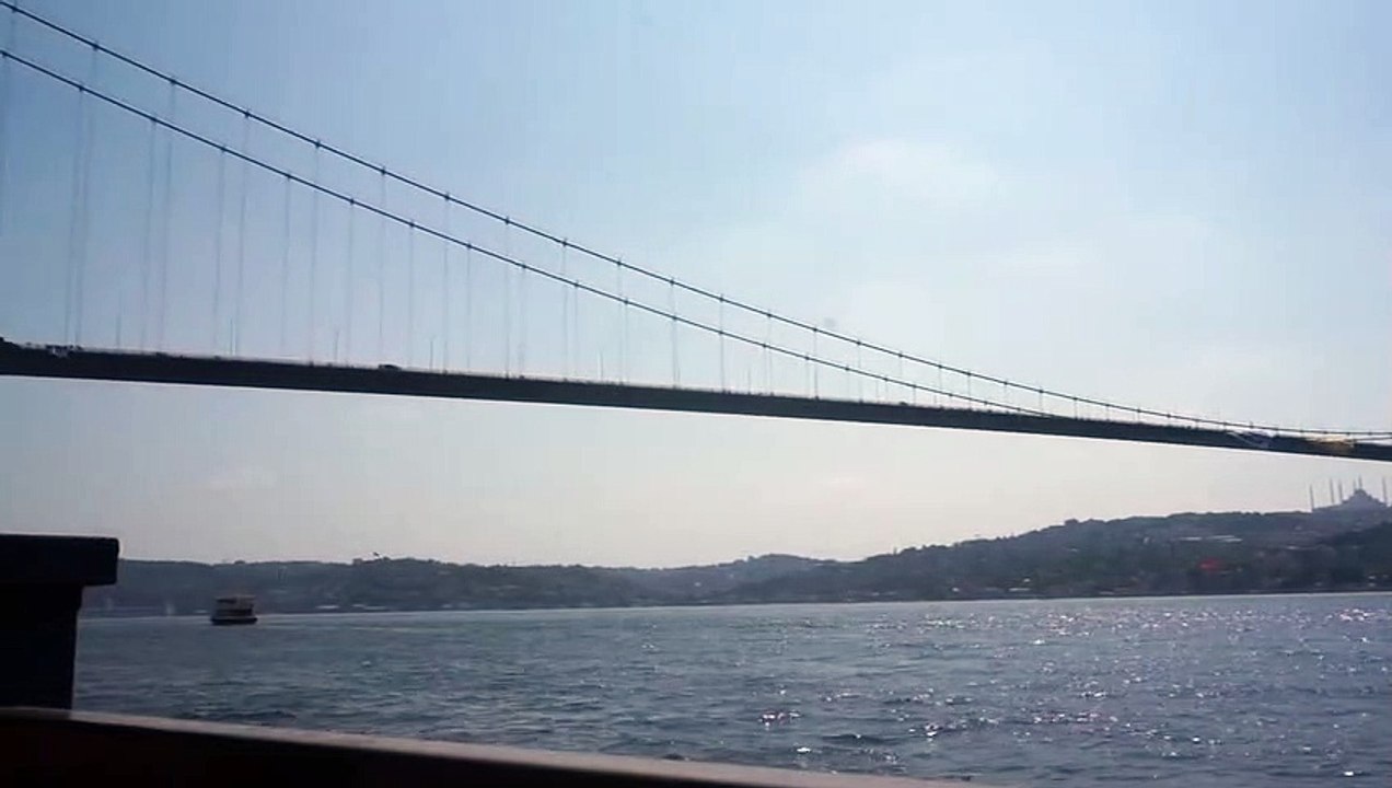 TİP'li vekillerden köprüde Gezi Parkı eylemi