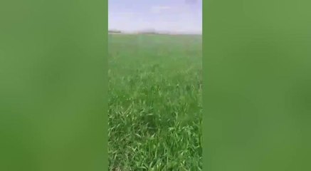 Kütahya'da Tarlalarını Fazla Suladığı Gerekçesiyle Ceza Kesilen Çiftçiler Tepki Gösterdi