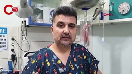 Sahile vuran 'balon balıklarını' yiyen 11 kedi zehirlendi