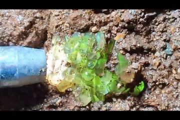 It's amazing!!!  Treasure Hunt rocking the Great purple Crystal Stone World