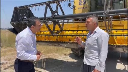 Biçerdöver Operatörü: "Fiyatlar Açıklanmadığı İçin Çiftçi Ekinini Bekletiyor, Sıcağı Yiyen Buğdayın Verimi Düşüyor"