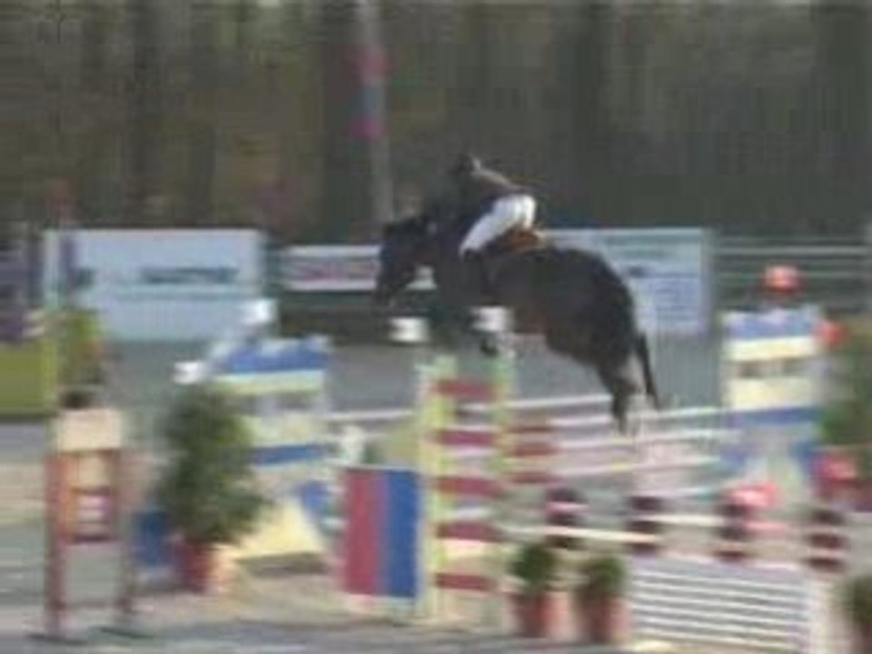 Ptidivin
