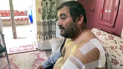 Ayı ile boğuştu, hayatını böyle kurtardı