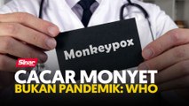 Cacar monyet bukan pandemik: WHO