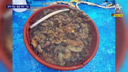 잠수 동호인 가방에 ‘문어 셋, 해삼 셋’…‘불법 채취’ 기승