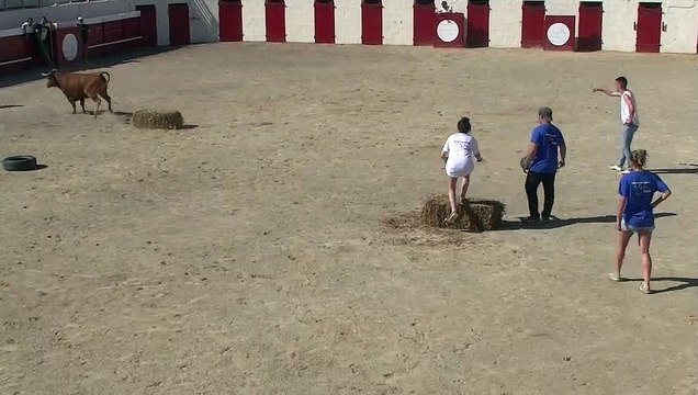 29.05.2022 Grenade S Adour Ganaderia Dussau Toro Ball 2e Partie A