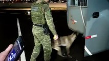 BPFron apreende quase 16 quilos de maconha e prende mulher em ônibus de linha em Umuarama