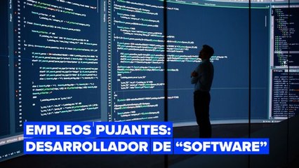 Empleos pujantes: desarrolladores de 'software'