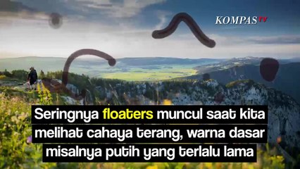 Sering Muncul Bayangan Melayang di Penglihatan, Ada Isyarat Apa?