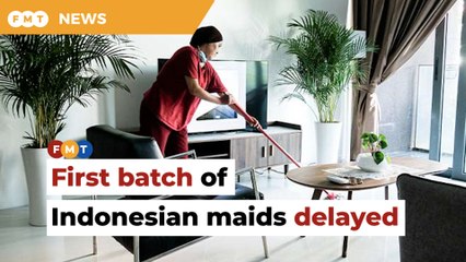 3-week training delays arrival of Indonesian maids, says envoy