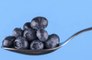Blueberries can protect middle-aged patients from dementia