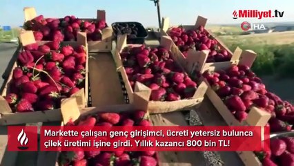 Market çalışanı ücreti yetersiz bulunca çilek işine girdi: Yıllık kazancı 800 bin TL