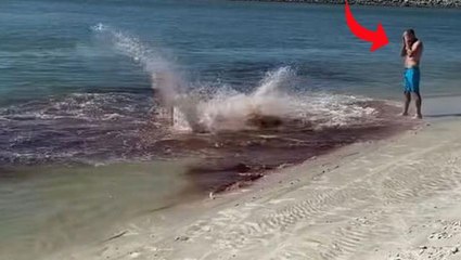 Deniz bir anda kıpkırmızı oldu! Su altındaki kanlı kapışmayı görenler irkildi, kenardaki adama dikkat