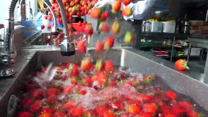 fresh fruit juice and ade (strawberry, lemon, grapefruit)