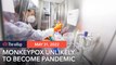 Unlikely monkeypox outbreak will lead to pandemic, says WHO