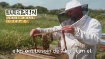 Histoires de ruches : Les abeilles batisseuses