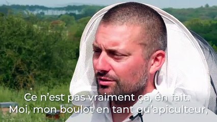 Comprendre l’apiculture et ses enjeux