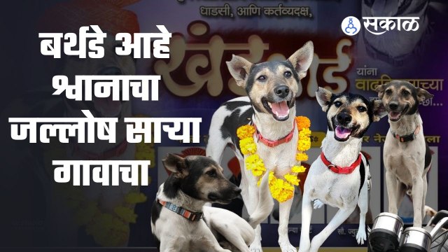 Pune University मध्ये एका श्वानाचा बर्थडे थाटात साजरा करण्यात आला