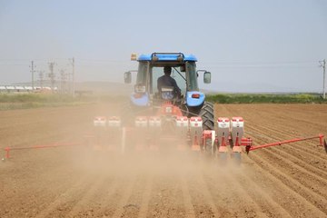 Kuru fasulyenin üretim merkezi Niğde'de ekim çalışmaları devam ediyor