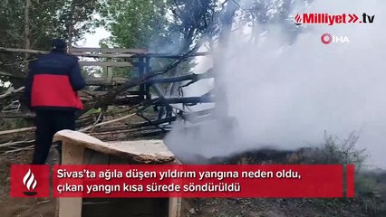 Ağıla düşen yıldırım yangına neden oldu