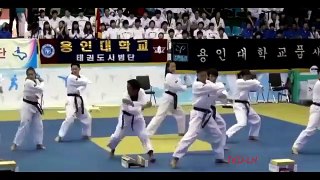 Tae Kwon Do Poomsee 11   -  Taebek