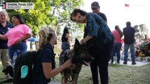 Dogs offer comfort to Uvalde locals after mass shooting