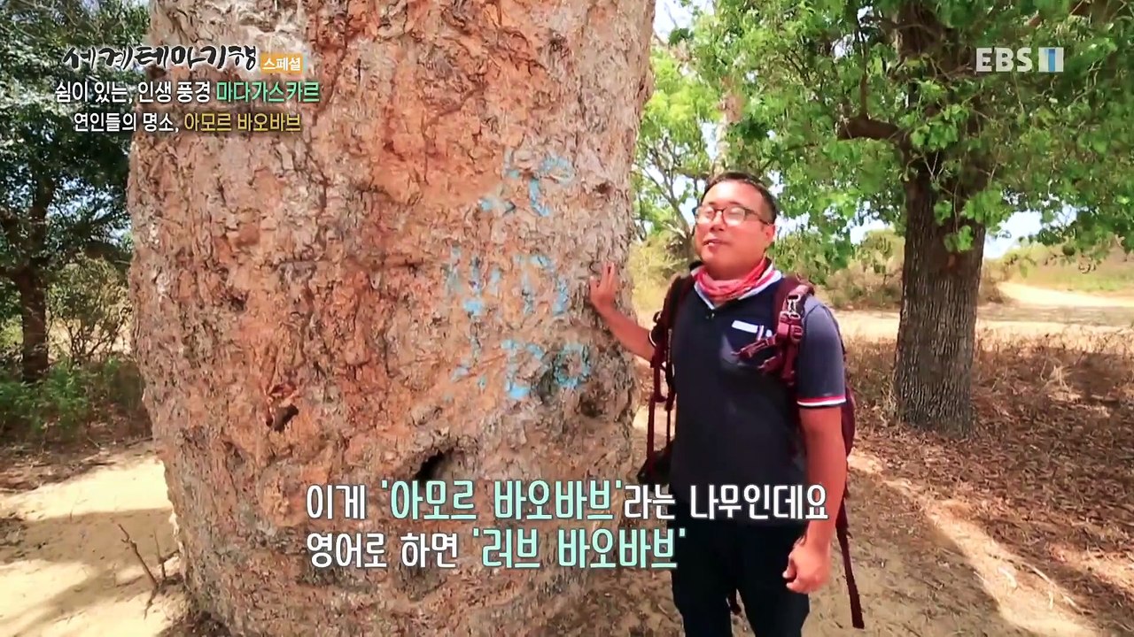 세계테마기행 - 쉼이 있는, 인생 풍경- 태초의 섬, 마다가스카르_#003