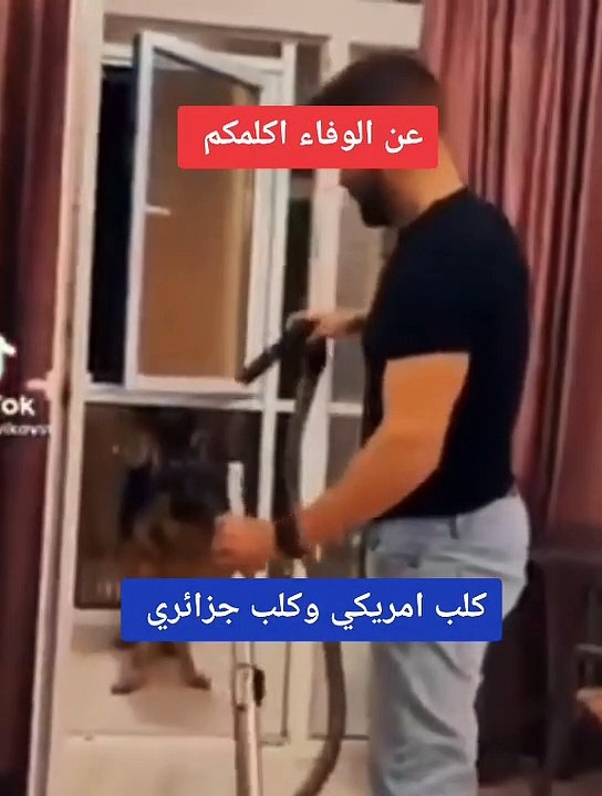 عن الوفاء اتحدث  | I'm talking about loyalty
