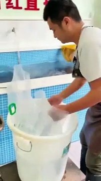 Livraison de poisson frais... très frais