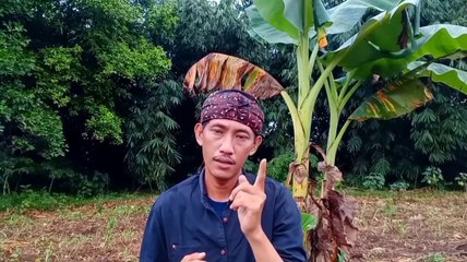 DENGAR KAN INI ‼️SETRES MU LANGSUNG HILANG __ FEAT PUTRA AWAN_Dialoegue Milenial