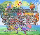 Secret of Mana (Re-traduction) online multiplayer - snes