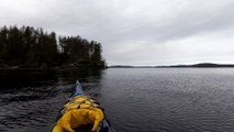 Killer Whale Swims Under Friend's Kayak