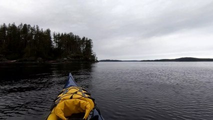 Killer Whale Swims Under Friend's Kayak
