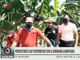 Carabobo | Más de 3 héctareas disponibles para la producción de alimentos en el Mcpio. Diego Ibarra