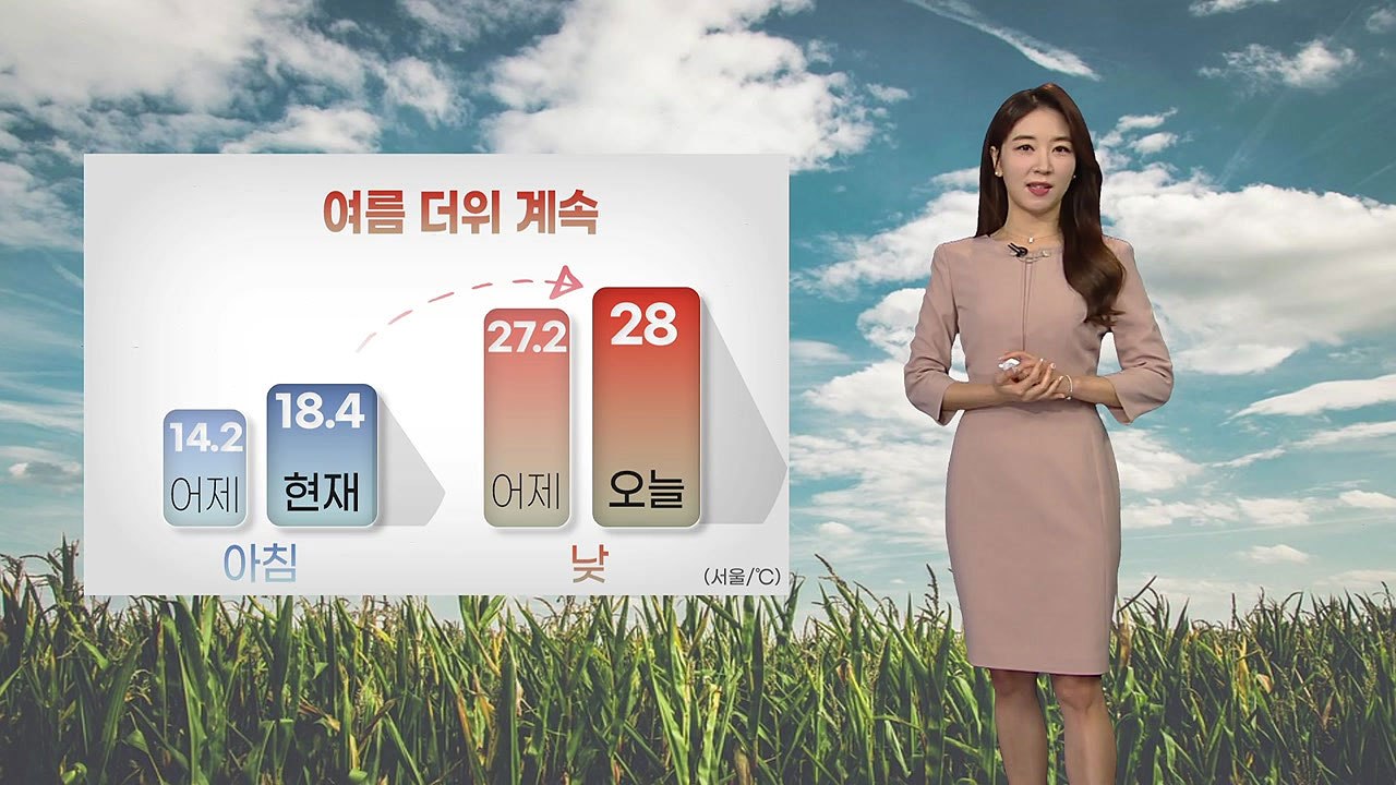 [날씨] 지방선거일, 여름 더위 계속...영동 강풍 유의 / YTN