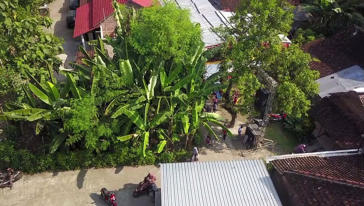 acara nikahan populer