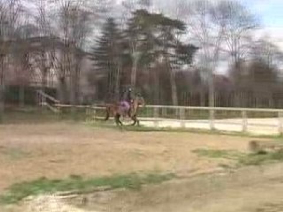 Gato cross